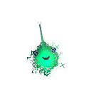 BunyipInCorp