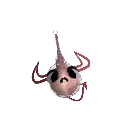 o0aynis0o