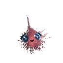 SassOHoolihan