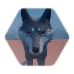 Wolf