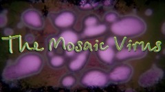 The Mosaic Virus - Only William Knew