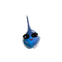 gato_210-TORNADO
