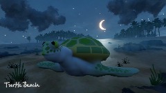 Turtle Beach