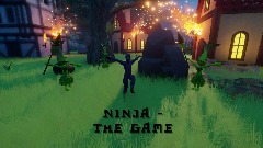 Ninja - the game [BETA]