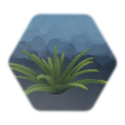 Aloe Vera