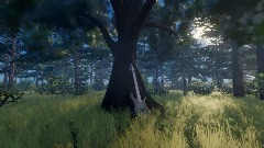 Heart (Audio-Visual)