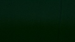 TIGER KING:THE GAME PART 2