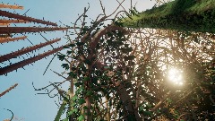 A screenshot taken in Dreams. 19 of 24.