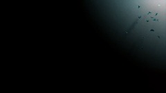 Last of Us  2 - loading screen