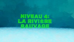 Niveau 4: la rivière sauvage