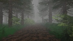 A Creepy Forest