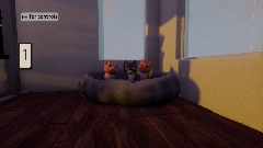 Cat Simulator