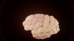 Interactive Anatomical Brain 0.2