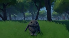 Bunny Render