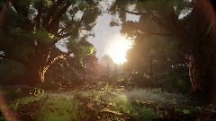 Remix of Realistic Forest Sunset Scene