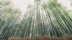 A screenshot taken in Dreams. 12 of 12.