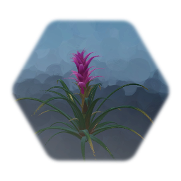 Bromeliad Flower