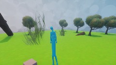 Can you find the things