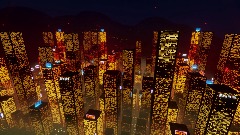 Nightcity Cheesewheel