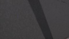 Love in the Time of Cholera