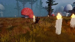 The Witch's Cat