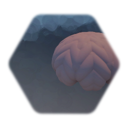 Spherical Brain