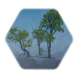 Canyonlands Cottonwood Tree Group