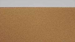 "All My Scienctists"