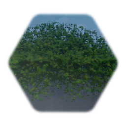 Grass/Bushes/Ground cover