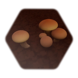 Agaricus bisporus - Common button mushroom