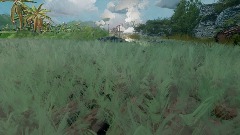 A Walk In The Park
