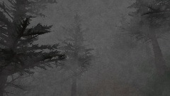 Laila goes to Silent Hill