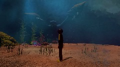 Squid Migration (20 Sec)