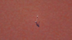 A screenshot taken in Dreams. 4 of 4.