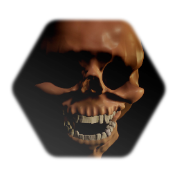 Skull