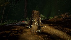 Community Garden Showcase: Mushrooms