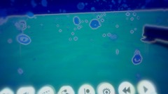 Underwater with shark experience