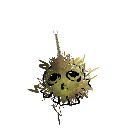 magusstrix