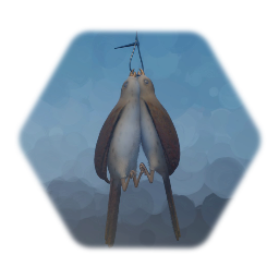 Brace of Thrush Birds