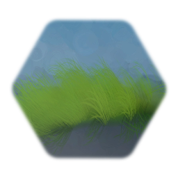 Hohes Gras 1