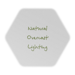 Natural overcast lighting