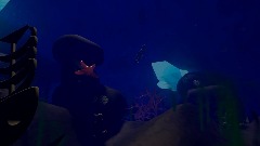 Last Chance (LYRICS VIDEO)