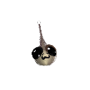 ticcbick