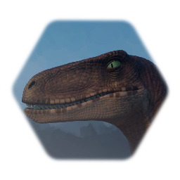 Raptor head