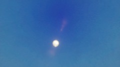 A screenshot taken in Dreams. 5 of 5.