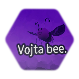 <clue>Vojta bee.