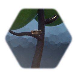 My Creation - 2/18/2020