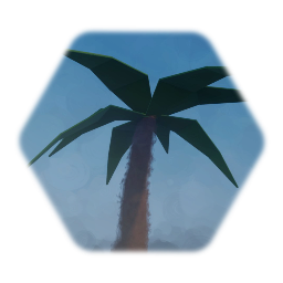 Palm Tree