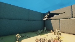 Orca aquarium