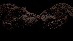 *<term>T-Rex Exposed:- Rig Sculpture